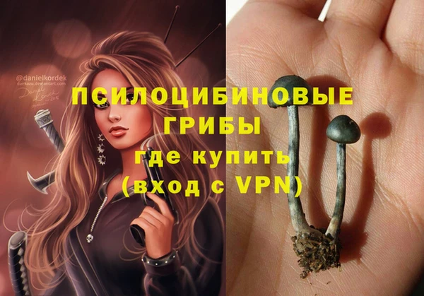 дмт Арсеньев